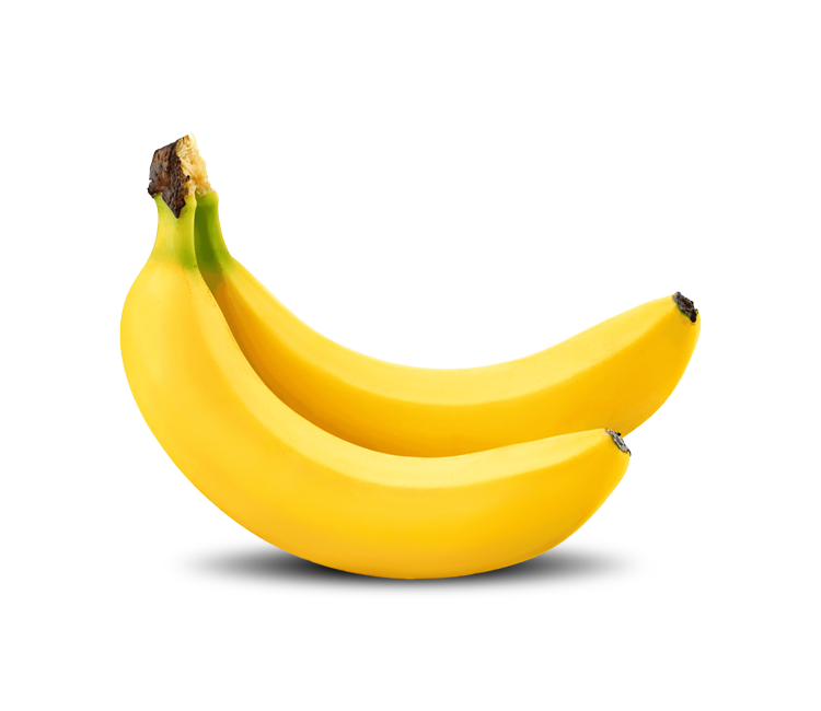 _0001_shutterstock