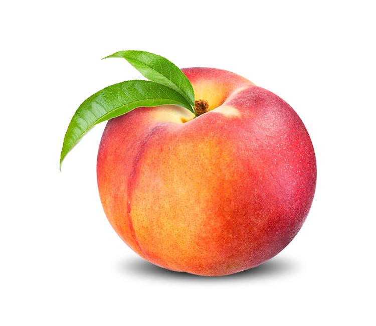 _0003_shutterstock