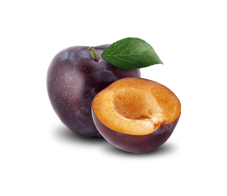 _0010_shutterstock